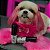 Máscara Pet Pigmentadora Collora 100g Rosa Para Cães Bubbles - Imagem 6