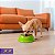Kit Comedouro e Bebedouro Para Cães e Gatos Stark Bowl 350ml Verde Neon - Imagem 8