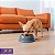 Kit Comedouro e Bebedouro Para Cães e Gatos Stark Bowl 350ml Cinza - Imagem 8