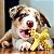 Biobone Kit Filhote Mordedor Resistente Mordida Suave Para Cães Cúrcuma - Imagem 7