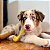 Biobone Kit Filhote Mordedor Resistente Mordida Suave Para Cães Cúrcuma - Imagem 8
