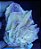 Rosa do Deserto - Grande - Imagem 1
