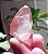 Pink Lemurian - Imagem 3