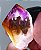 Pontas Dream Coat - Semi-Polida 04 - Imagem 7