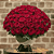 Buquê 100 Rosas Colombianas vermelhas - Imagem 1