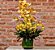 Arranjo de orquídeas - Imagem 1