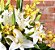 Arranjo de orquídeas e lírios - Imagem 2