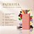 Perfume Patriota 1a Dama 100ml Eau De Parfum - Imagem 3