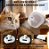 Escova a Vapor 3 em 1 Spray Hair USB para Pets - Imagem 2