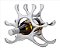 Adega Rack em Inox para Vinhos 6 Garrafas - Imagem 2