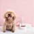 Pet Comedouro e Bebedouro automático Para Cães e Gatos - Cor Branco - Imagem 3