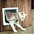 PET - Porta de Retalho para Gatos e Cães com 04 Way Lock Segurança - Imagem 3