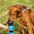 PET - Garrafa de Água Esporte Portátil 500 ml - Imagem 2