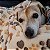 Tapete de Cama para Cães Quente Bonito Pequeno Médio Grande Artesanal Inverno - Imagem 7