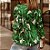 Jaqueta Feminina Curta Vintage Floral Print Casual - Imagem 8