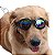 PET - Óculos de Sol para Cães de Estimação de Ciclismo ao Ar Livre Ajustável - Imagem 8