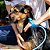 PET - Ferramenta Pulverizador e Scrubbe Banho para Cães e Gatos de Estimação Azul - Imagem 6