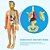 Kid Anatomia do Corpo Humano Modelo de Aprendizagem Educacional Montessori 3D Puzzle Órgão Montado Brinquedo Ferramenta de Ensino - Imagem 5