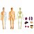 Kid Anatomia do Corpo Humano Modelo de Aprendizagem Educacional Montessori 3D Puzzle Órgão Montado Brinquedo Ferramenta de Ensino - Imagem 3