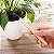 Ferramentas para Jardinagem Vaso de Planta Plantio com 03 Peças Preto - Imagem 5