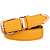 Cinto Feminino em Couro Colors com Fivela Dourada - Imagem 1
