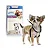 PET - Coleira PAWISE para Treino Peitoral - Imagem 1