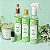 Aromas para Casa Premium | Brisa de Bambu | Família Olfativa Cítrica Aquosa | Carla Amaro Home - Imagem 1