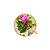 WNF Óleo Vegetal Puro De Rosa Mosqueta 20ml - Imagem 3