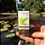 WNF Óleo Essencial Puro De YLANG YLANG 5ml - Imagem 4