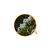 WNF Óleo Essencial Puro De Melaleuca (Tea Tree) 10ml - Imagem 2