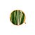 Livealoe Puro Gel de Aloe "Babosa" 60ml - Imagem 3