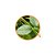 Laszlo Óleo Essencial de Hortelã do Campo “Menta” GT Brasil 10ml - Imagem 2