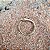 Anel Ouroboros - Imagem 1