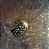 Colar Black Ladybug - Imagem 1