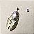 Brinco Besouro Ametista e Abalone - Imagem 2