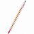Caneta Esferográfica BIC Cristal Fashion Color – Escrita Macia e Cores Vibrantes - Imagem 5