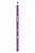 Kit com 6 Lápis Preto BIC Evolution Pijama HB Nº2 - Imagem 6