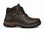 Bota de Segurança Adventure e Trilha PS-410 Café - Ecosafety - Imagem 1