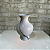 Alugue Vaso de Porcelana Branco com Detalhe Verde P - Imagem 1