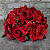 Alugue Arranjo de Flor Artificial GG - Vermelho - Imagem 1