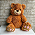 Alugue Pelúcia de Ursinho Marrom - Imagem 1