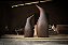 Pingüim de Madeira - Ipê - Imagem 4