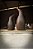 Pingüim de Madeira - Ipê - Imagem 5