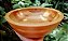 Bowl Segmentado Médio - Marfim - Imagem 4