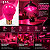 Lâmpada LED Bulbo 6W Luz Rosa E27 Decorativa Opus LP-35697 - Imagem 2