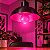 Lâmpada LED Bulbo 6W Luz Rosa E27 Decorativa Opus LP-35697 - Imagem 8