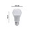 Lâmpada LED Bulbo 9w 6500k Bivolt LL-1373 - Imagem 4
