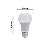 Lâmpada LED Bulbo 15w 6500k Bivolt LL-1377 - Imagem 4