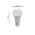 Lâmpada LED Bulbo 12w 6500k Bivolt LL-1375 - Imagem 4