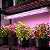 Luminária LED Batten Light 40w Grow Cultivo Indoor Bivolt 71114 - Imagem 9